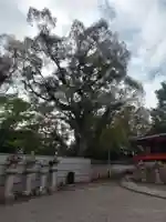 石清水八幡宮(京都府)