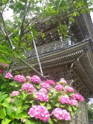 光明寺のその他建物