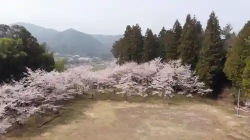 宮崎神社の景色