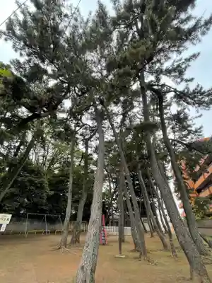 中野氷川神社の周辺
