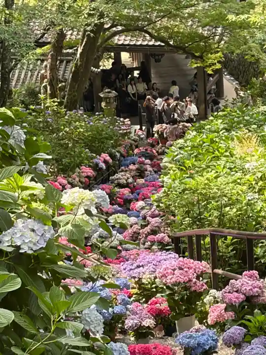 長谷寺(奈良県)
