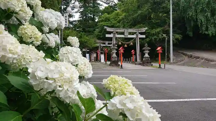 貴船神社の自然