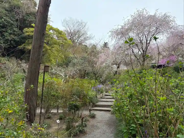 明月院のその他建物