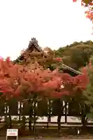 禅林寺(永観堂)(京都府)