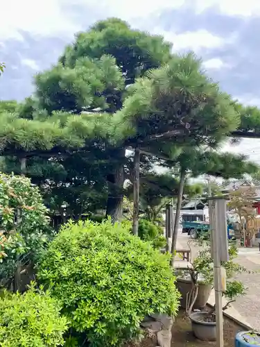 蓮華寺(東京都)