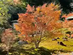 長壽寺（長寿寺）(神奈川県)