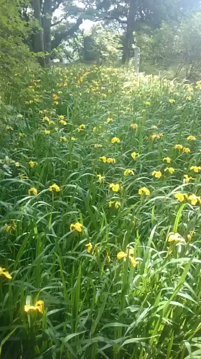 雨城八幡神社(久留里城址)(千葉県)
