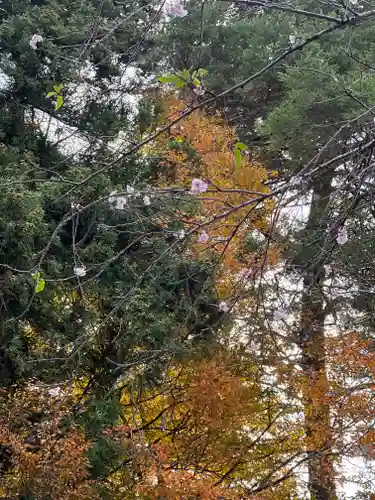 熊野神社の自然