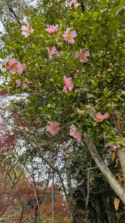 長岡天満宮(京都府)