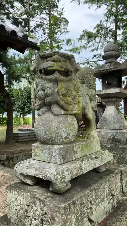 八幡神社の狛犬