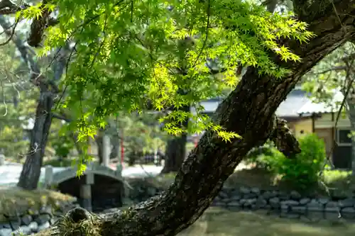 吉備津彦神社(岡山県)