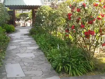 大巧寺のその他建物