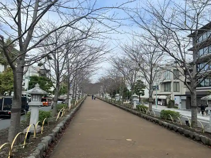 鶴岡八幡宮の景色