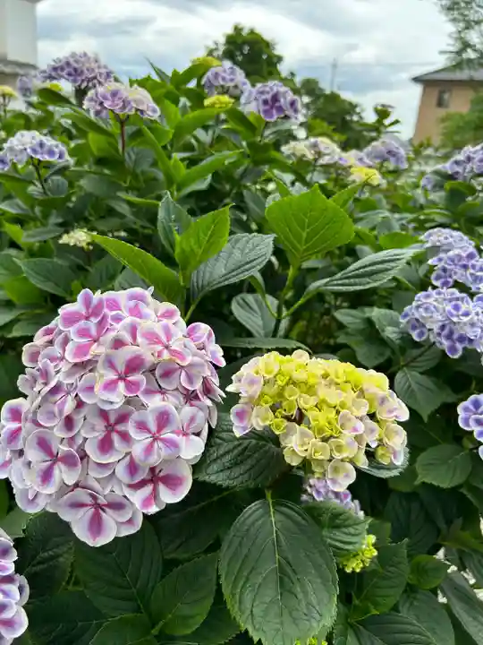 能護寺(埼玉県)