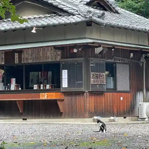 八幡社（柏井町）の動物