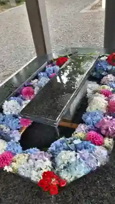 新琴似神社の手水舎