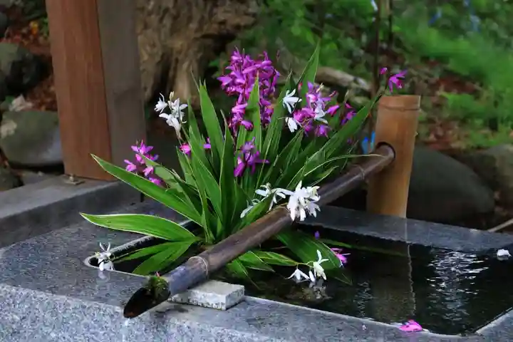 高司神社〜むすびの神の鎮まる社〜の手水舎