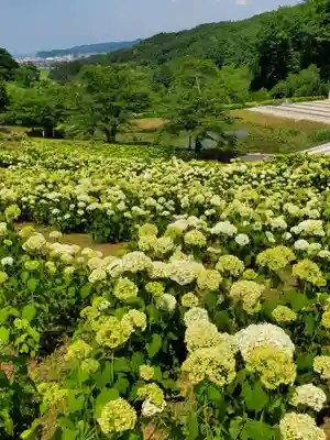 陽林寺(福島県)