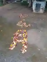 伏木香取神社の自然