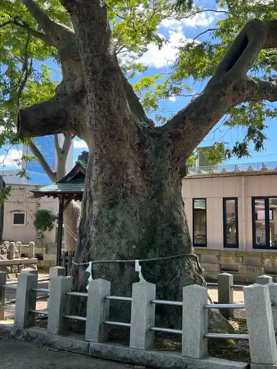 阿邪訶根神社(福島県)