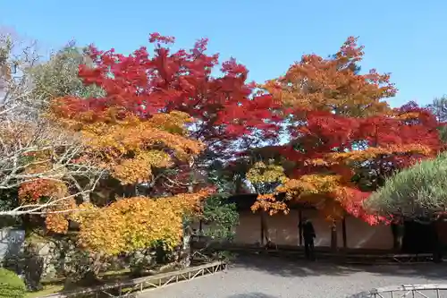 二尊院(京都府)