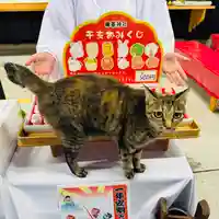 守りの神 藤基神社(新潟県)