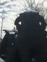 札幌護國神社の狛犬