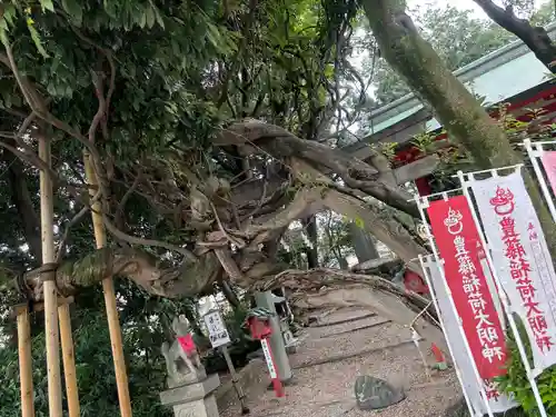 豊藤稲荷神社(愛知県)