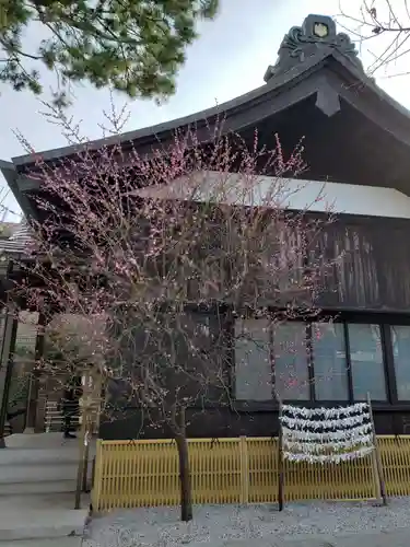猿田彦神社(東京都)