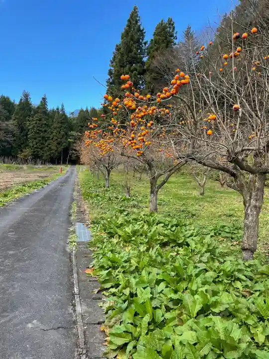 御嶽神社の自然