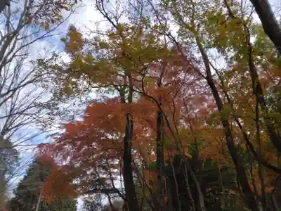 観音寺(神奈川県)