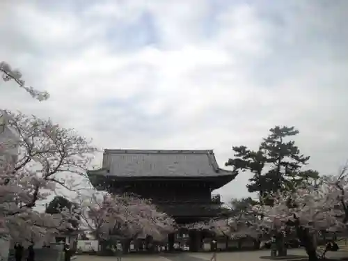 光明寺の山門