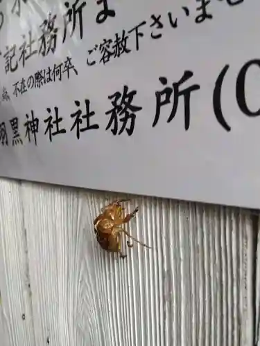羽黒神社(石川県)