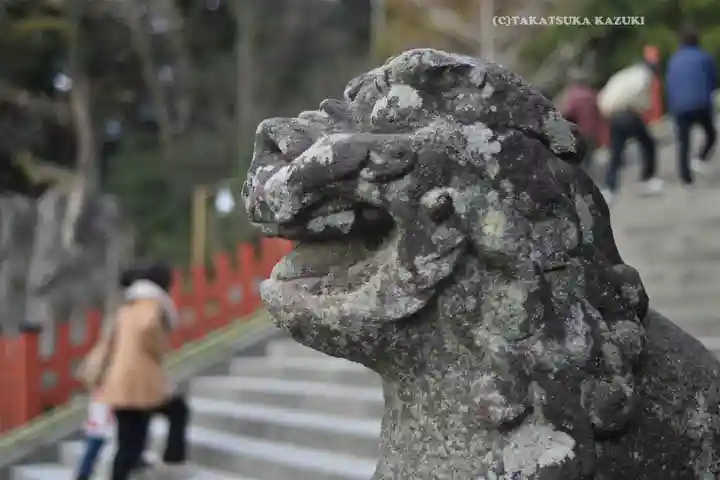 鶴岡八幡宮の狛犬