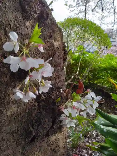 等覚院(神奈川県)