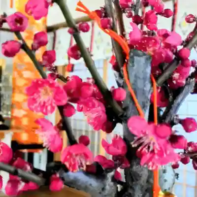 彌彦神社　(伊夜日子神社)の芸術