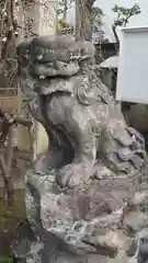 高木神社の狛犬