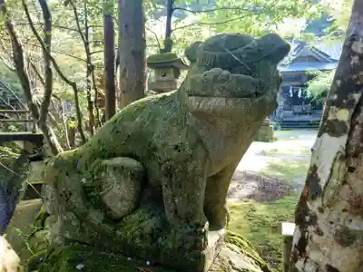 五所駒瀧神社(茨城県)