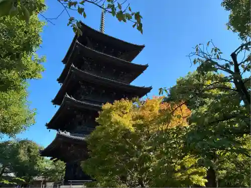東寺（教王護国寺）(京都府)