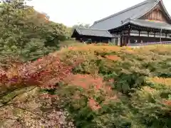 東福禅寺（東福寺）(京都府)