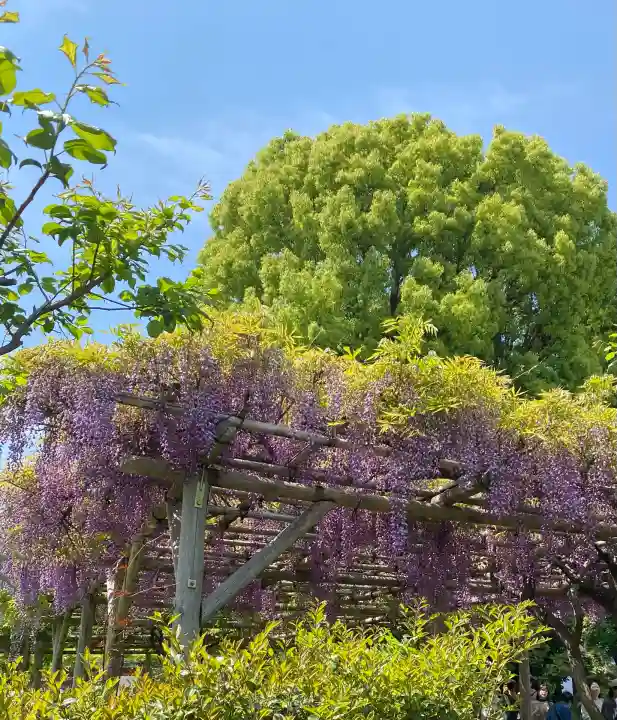 亀戸天神社(東京都)