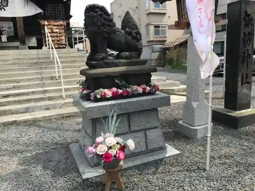 札幌諏訪神社の狛犬