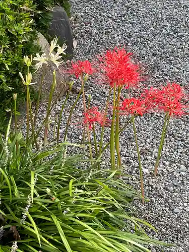 梅香寺(三重県)
