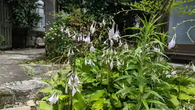 宝円寺(京都府)