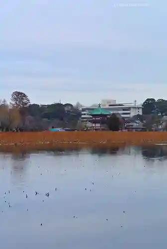 寛永寺不忍池弁天堂の景色