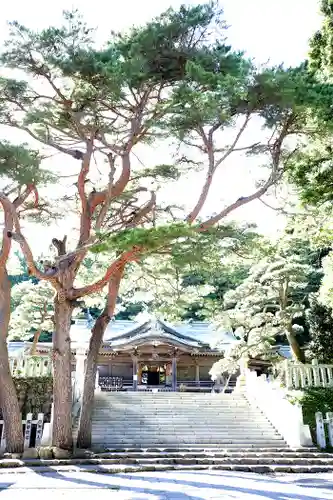 函館八幡宮の自然