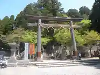 戸隠神社中社の鳥居