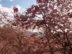 楽法寺（雨引観音）の自然