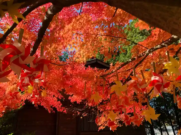 滑川神社 - 仕事と子どもの守り神の自然
