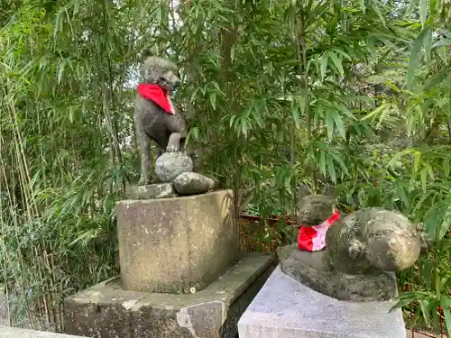 白笹稲荷神社の狛犬